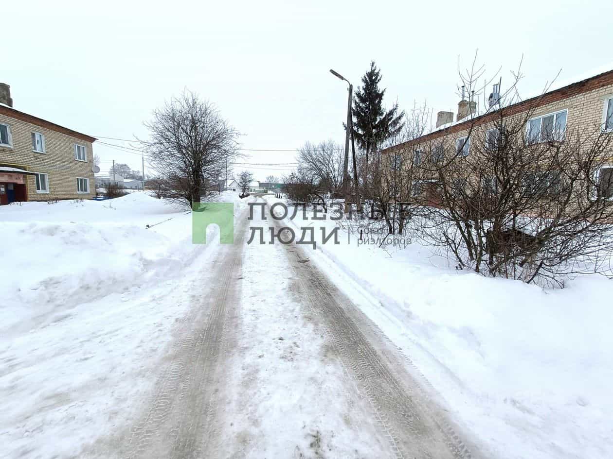 Россия, Орловская область, посёлок городского типа Кромы, улица К. Маркса, 89, фото 20