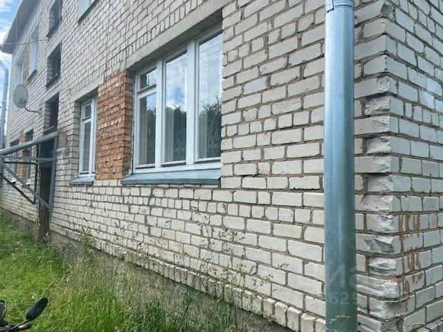 Россия, Псковская область, Невель, улица Урицкого, 94А, фото 17