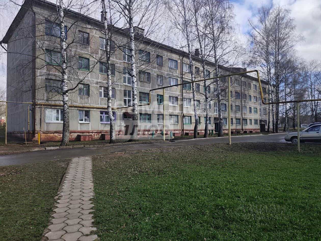Россия, Республика Марий Эл, Советский район, Солнечное сельское поселение, посёлок Солнечный, Солнечная улица, 22, фото 2