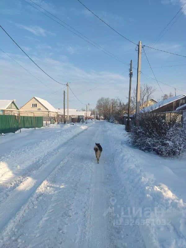 Россия, Орловская область, Урицкий район, посёлок городского типа Нарышкино, улица Ревкова, 6, фото 12