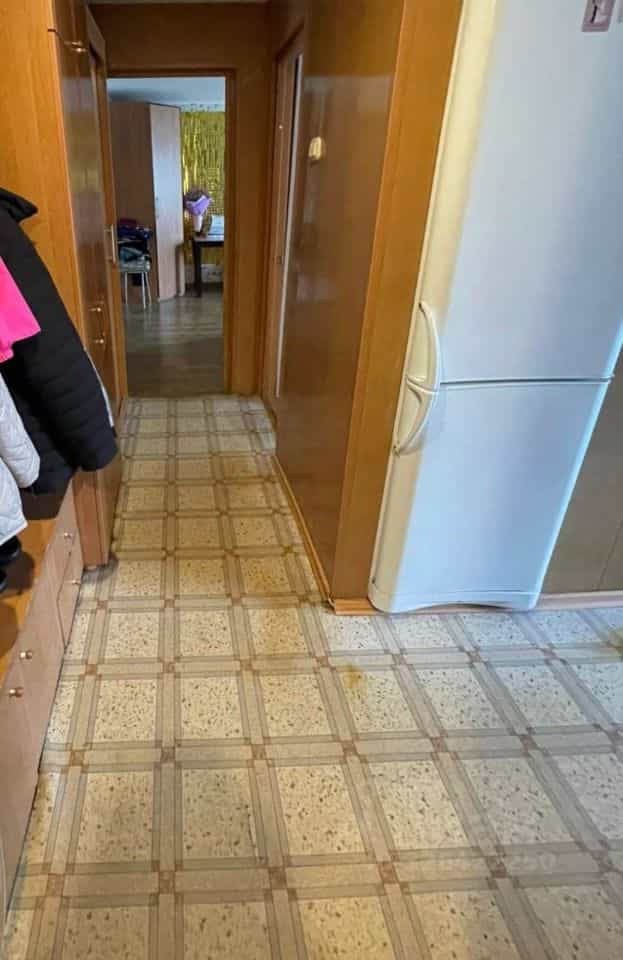 Россия, Новгородская область, Чудово, улица Дружбы, 5, фото 5