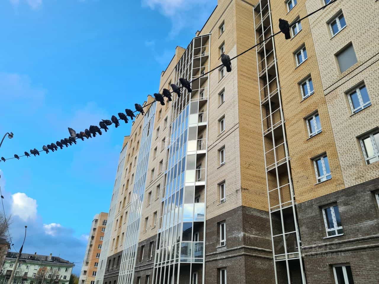 Россия, Архангельская область, Северодвинск, улица Торцева, 65, фото 4