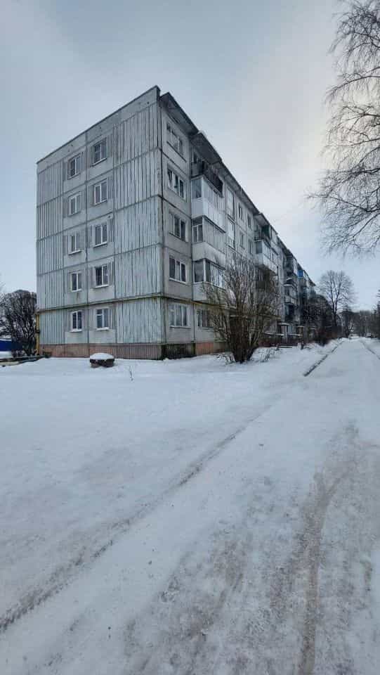 Россия, Новгородский муниципальный округ, Трубичинское сельское поселение, деревня Чечулино, Воцкая улица, 5, фото 22