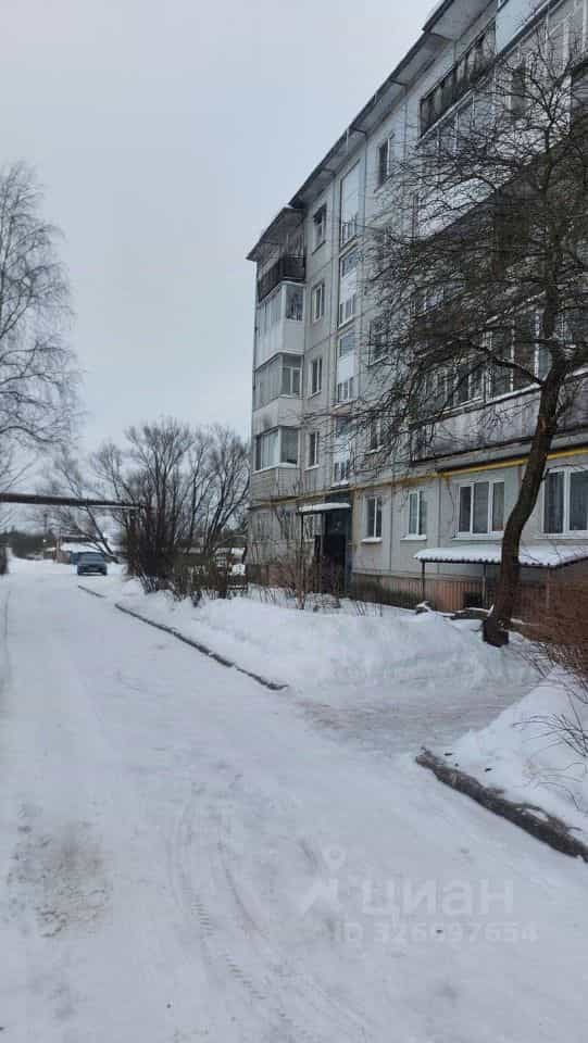 Россия, Новгородский муниципальный округ, Трубичинское сельское поселение, деревня Чечулино, Воцкая улица, 5, фото 23