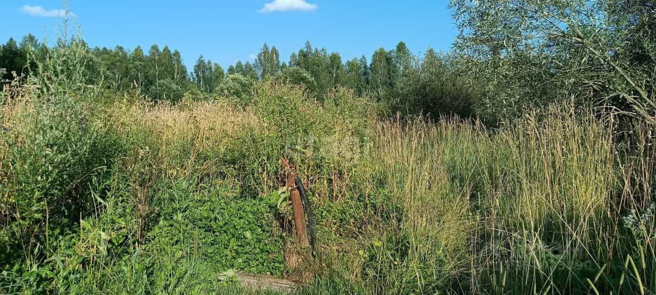 Россия, Смоленский муниципальный округ, деревня Бубново, Почтовая улица, 2, фото 22