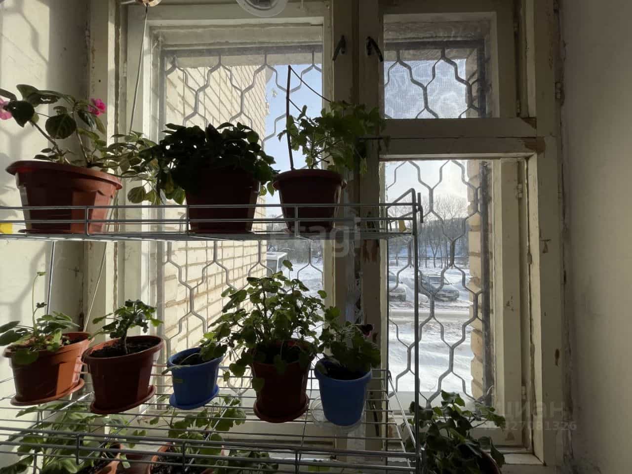 Россия, Смоленская область, Сафоново, улица Ленина, 1А, фото 6
