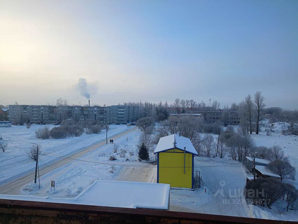 Россия, Новгородский муниципальный округ, Трубичинское сельское поселение, деревня Чечулино, Воцкая улица, 16, фото 13