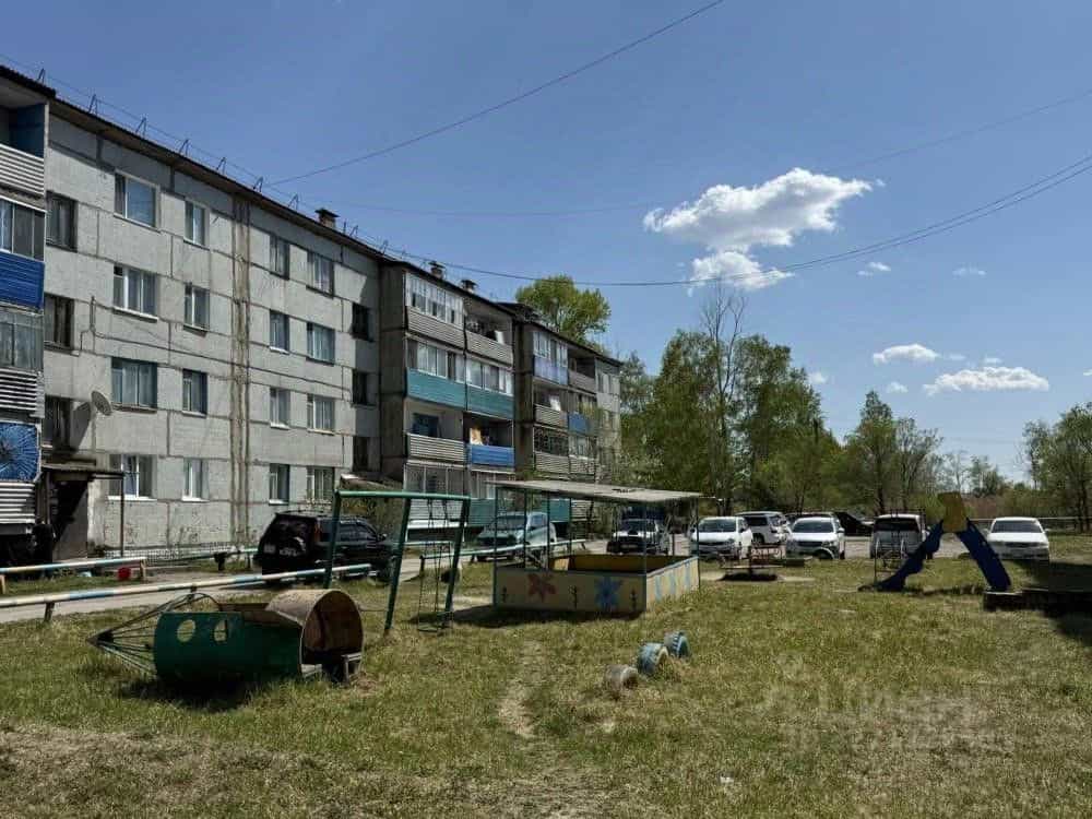 Россия, Амурская область, Белогорский муниципальный округ, село Возжаевка, улица ДОС, 65, фото 19