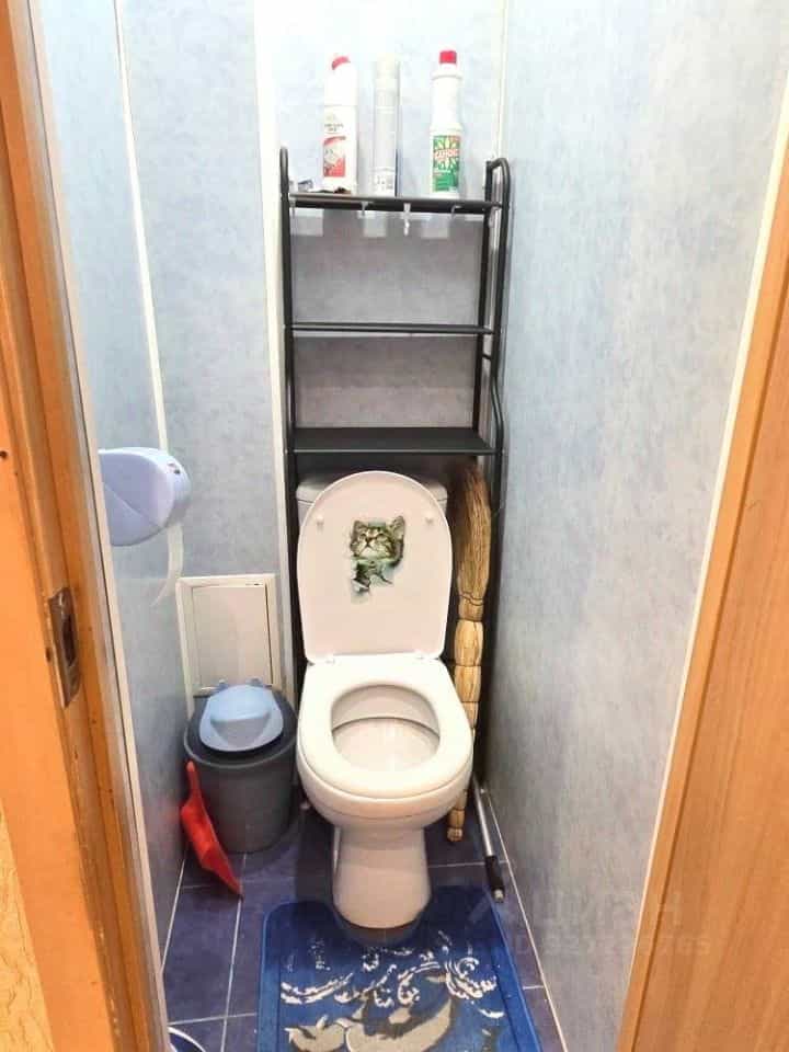 Россия, Республика Коми, Сыктывкар, улица Мира, 53, фото 12