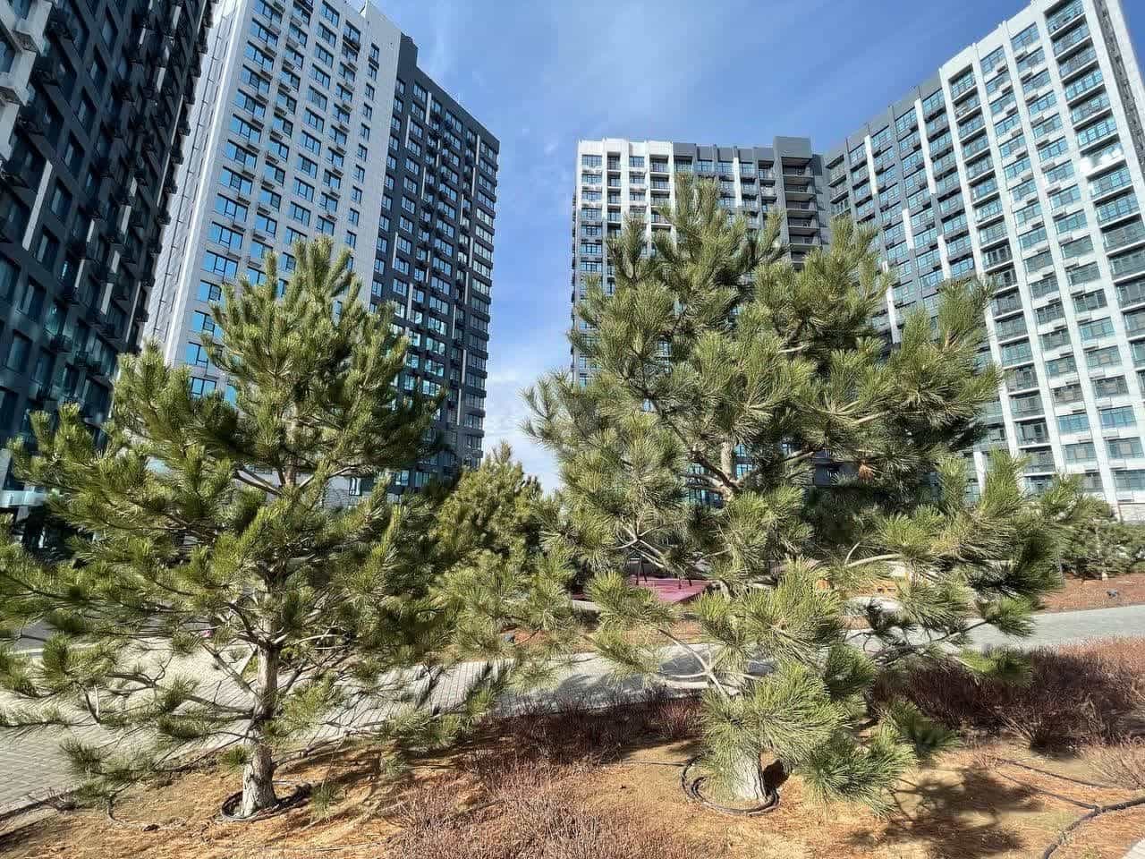 Россия, Астрахань, улица Бехтерева, 2Б, фото 28
