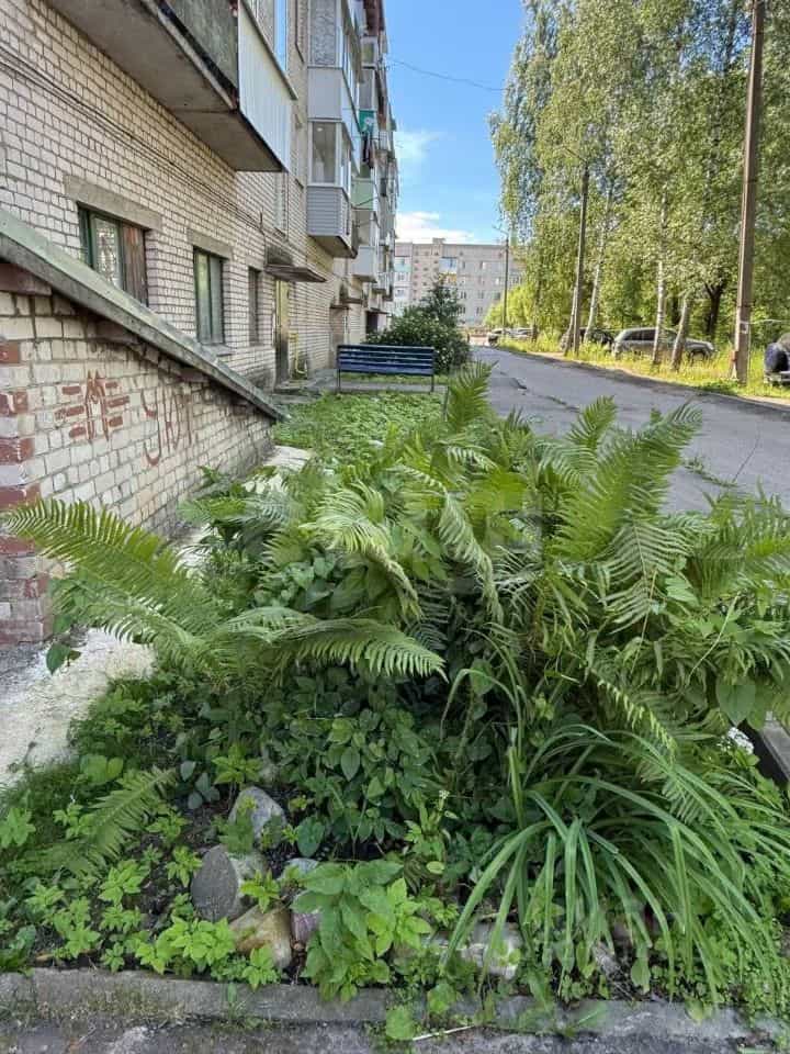 Россия, Тверская область, Бежецк, Краснослободская улица, 11, фото 5