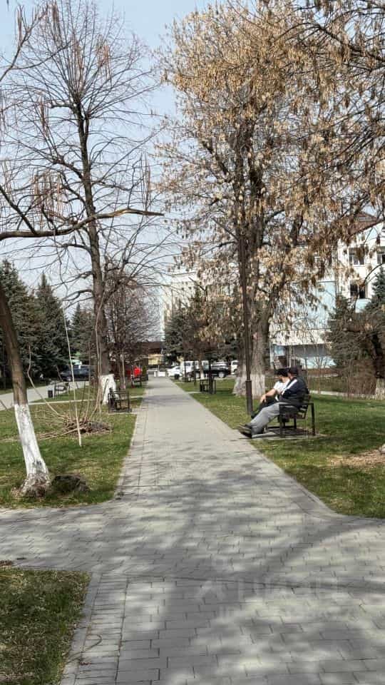 Россия, Республика Северная Осетия — Алания, Владикавказ, улица Коцоева, 65, фото 3