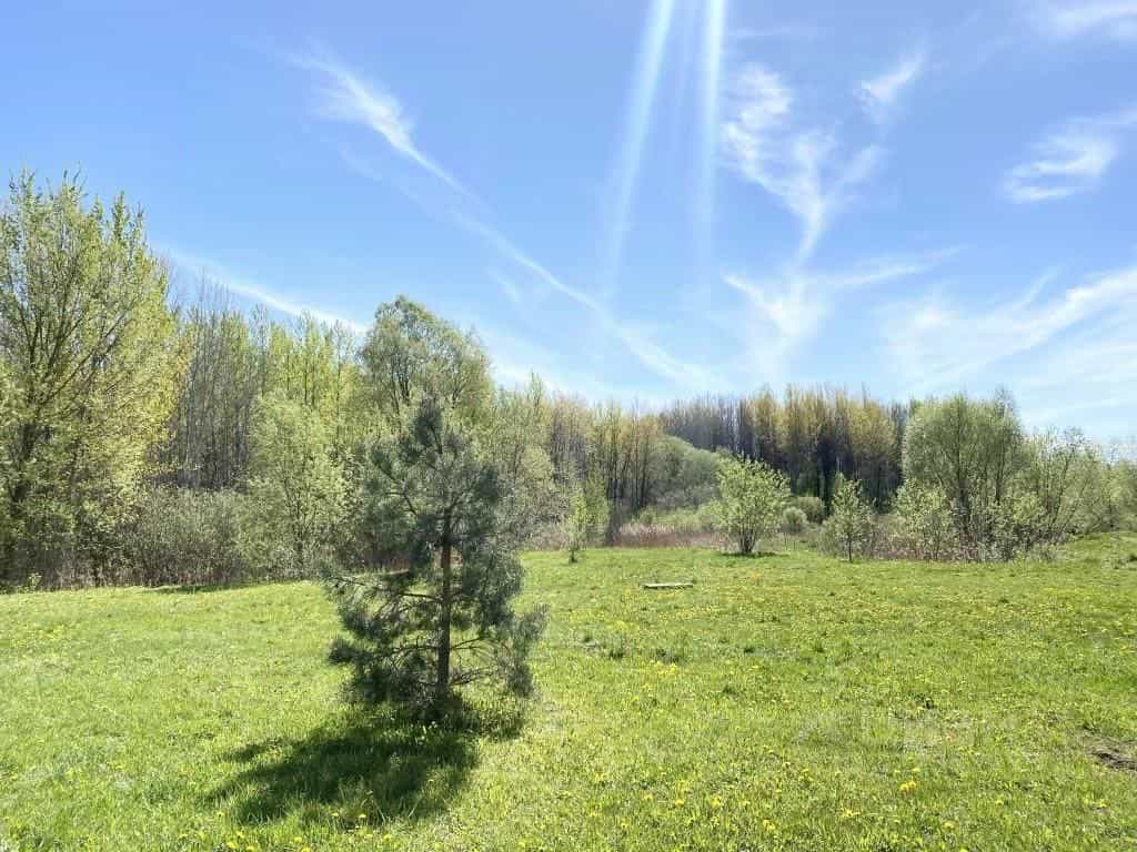 Россия, Великий Новгород, улица Связи, 21, фото 24