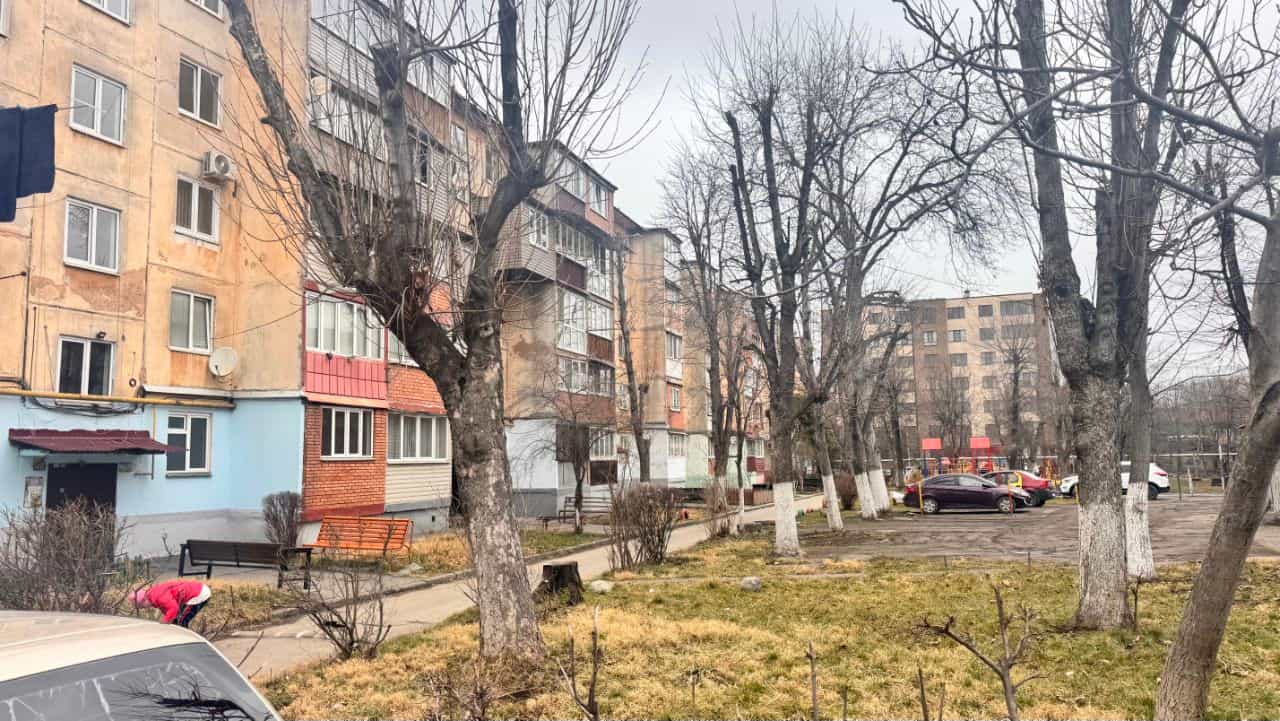 Россия, Республика Северная Осетия — Алания, Владикавказ, проспект Коста, 286к2