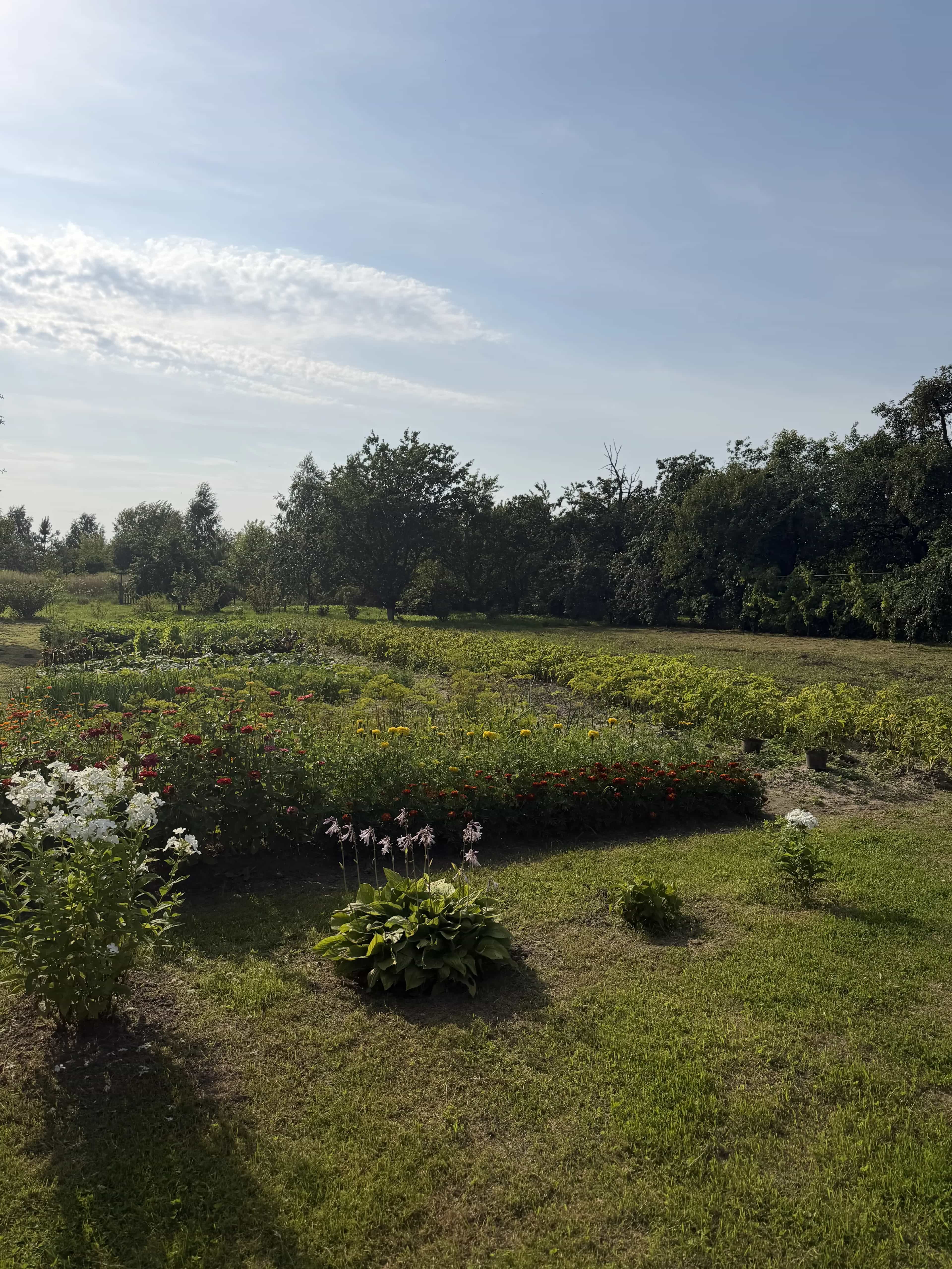 Беларусь, Гродненский район, Подлабенский сельсовет, деревня Тричи, 29, фото 21