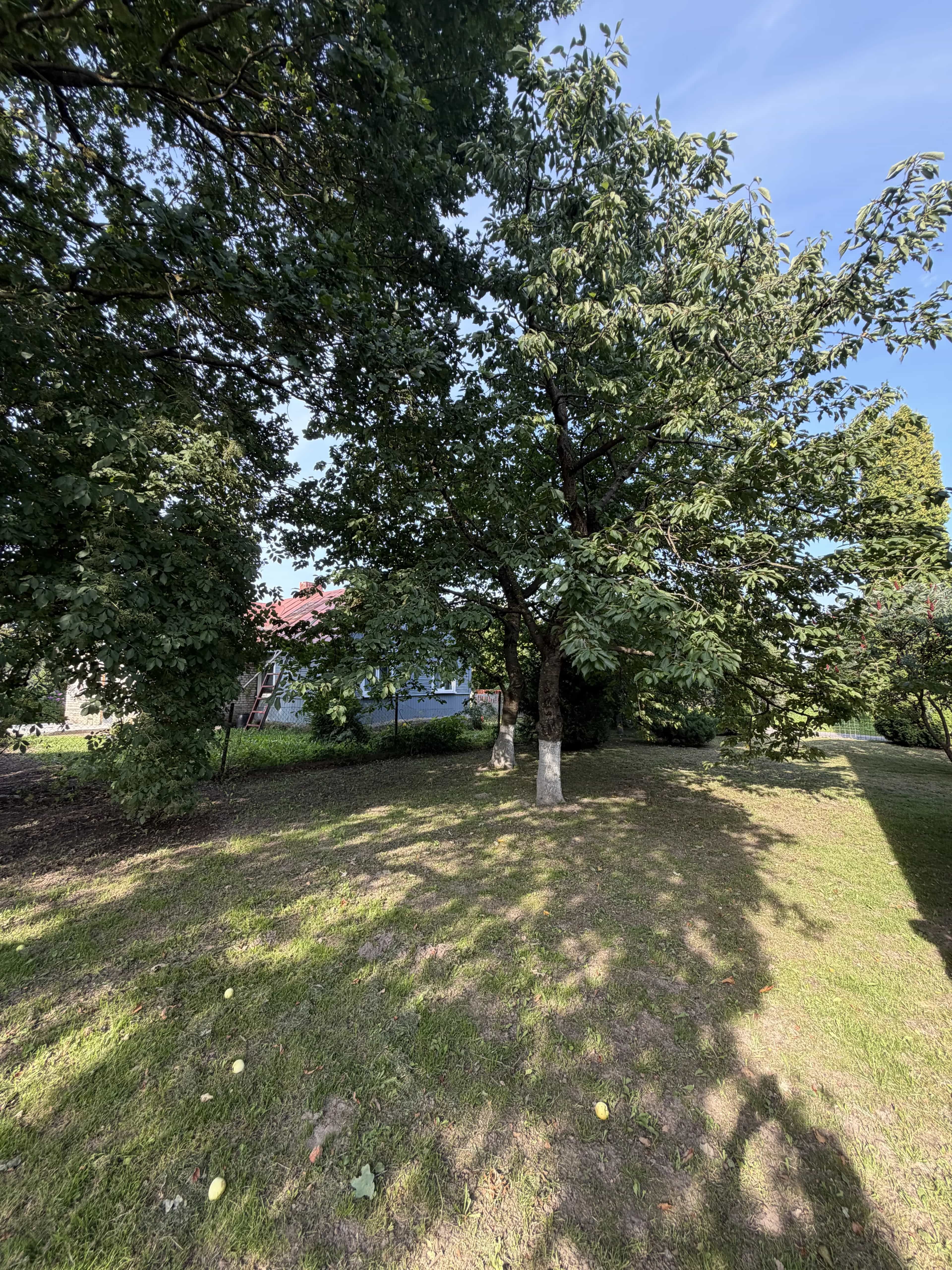 Беларусь, Гродненский район, Подлабенский сельсовет, деревня Тричи, 29, фото 27