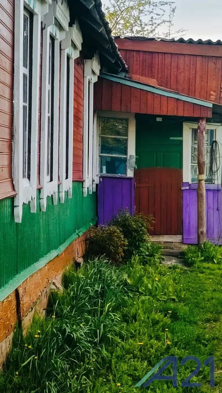 Беларусь, Могилёвская область, Кировский район, Мышковичский сельсовет, деревня Козуличи, Первомайская улица, 46