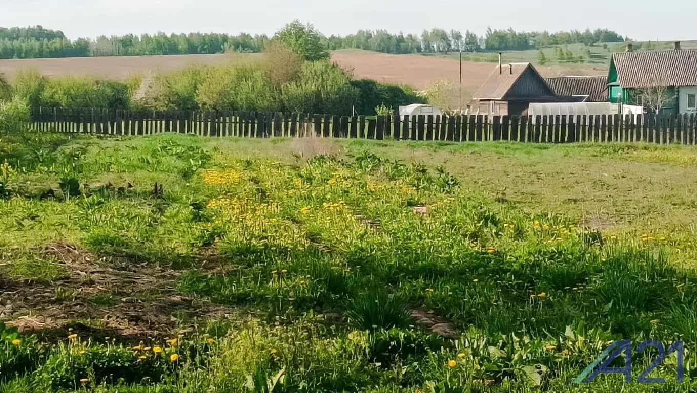 Беларусь, Могилёвская область, Кировский район, Мышковичский сельсовет, деревня Козуличи, Первомайская улица, 46, фото 7
