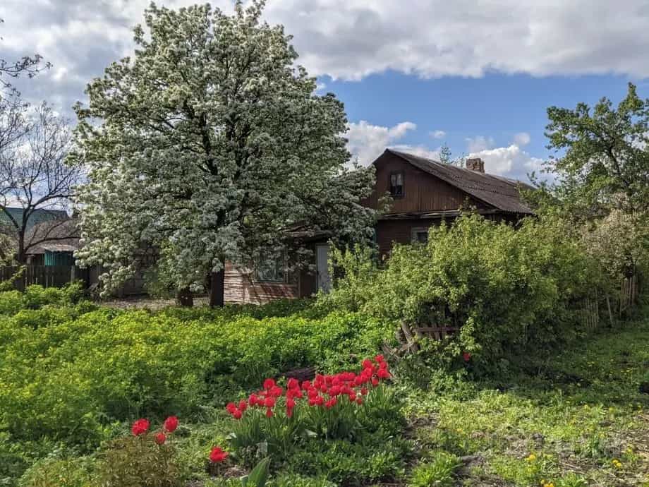 Беларусь, Брестская область, Пинск, Прямая улица, 113А