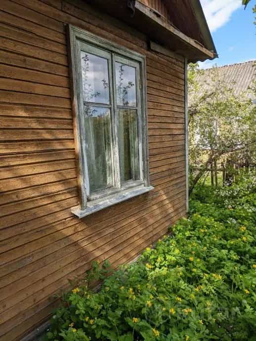 Беларусь, Брестская область, Пинск, Прямая улица, 113А, фото 2