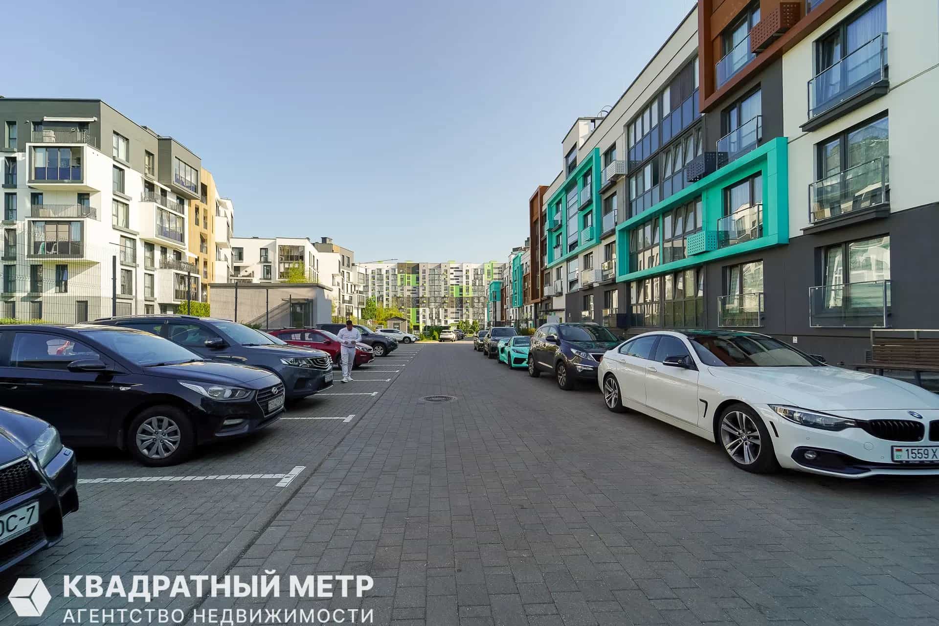 Беларусь, Минский район, Боровлянский сельсовет, деревня Копище, Небесная улица, 5, фото 30