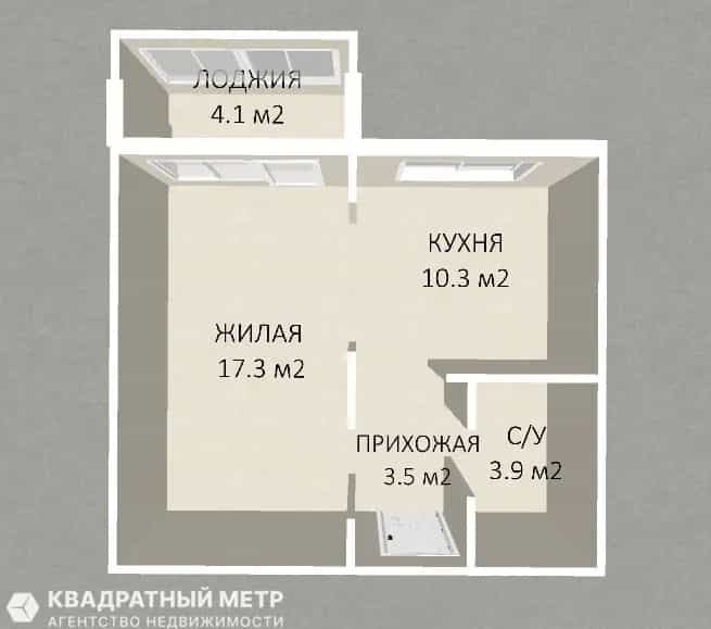 Беларусь, Минский район, Боровлянский сельсовет, деревня Копище, Небесная улица, 5, фото 33