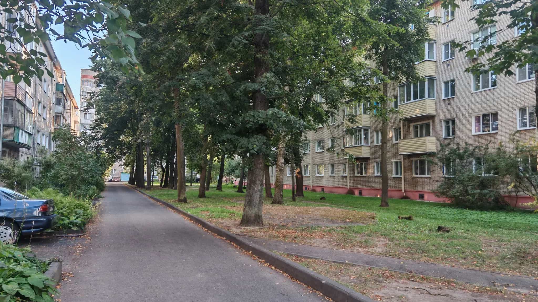 Беларусь, Витебская область, Полоцк, улица Пушкина, 21/31, фото 17