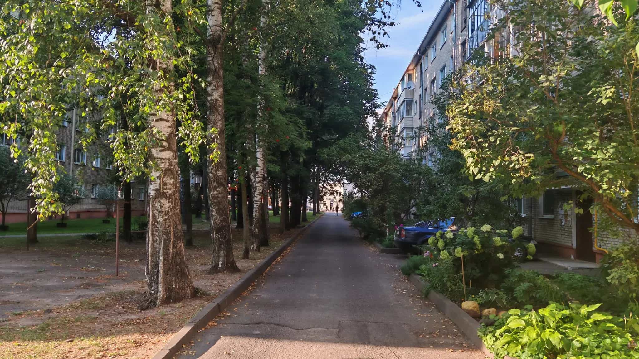 Беларусь, Витебская область, Полоцк, улица Пушкина, 21/31, фото 19