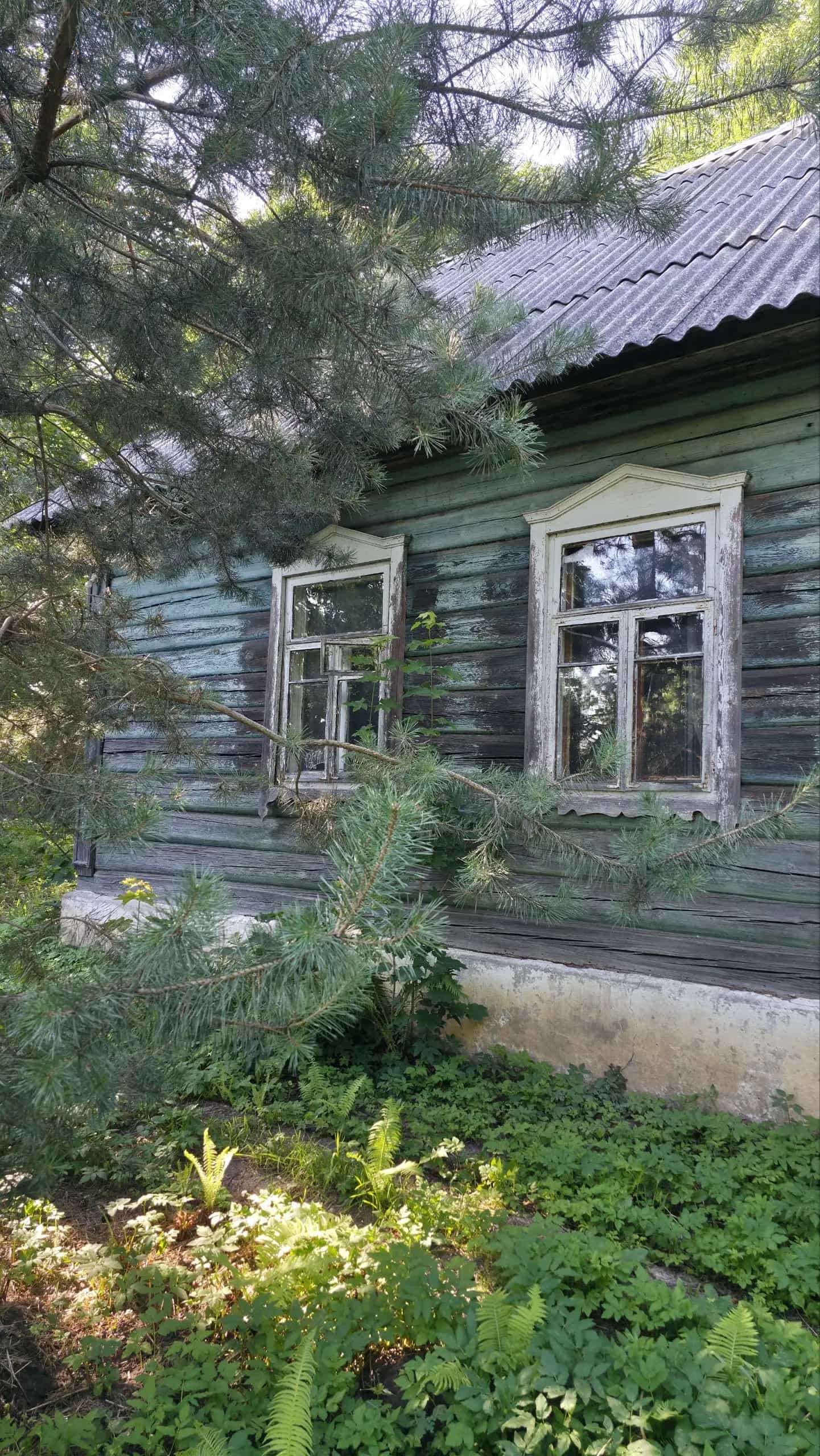 Беларусь, Минская область, Червенский район, Смиловичский сельсовет, городской посёлок Смиловичи, Садовая улица, 3, фото 6