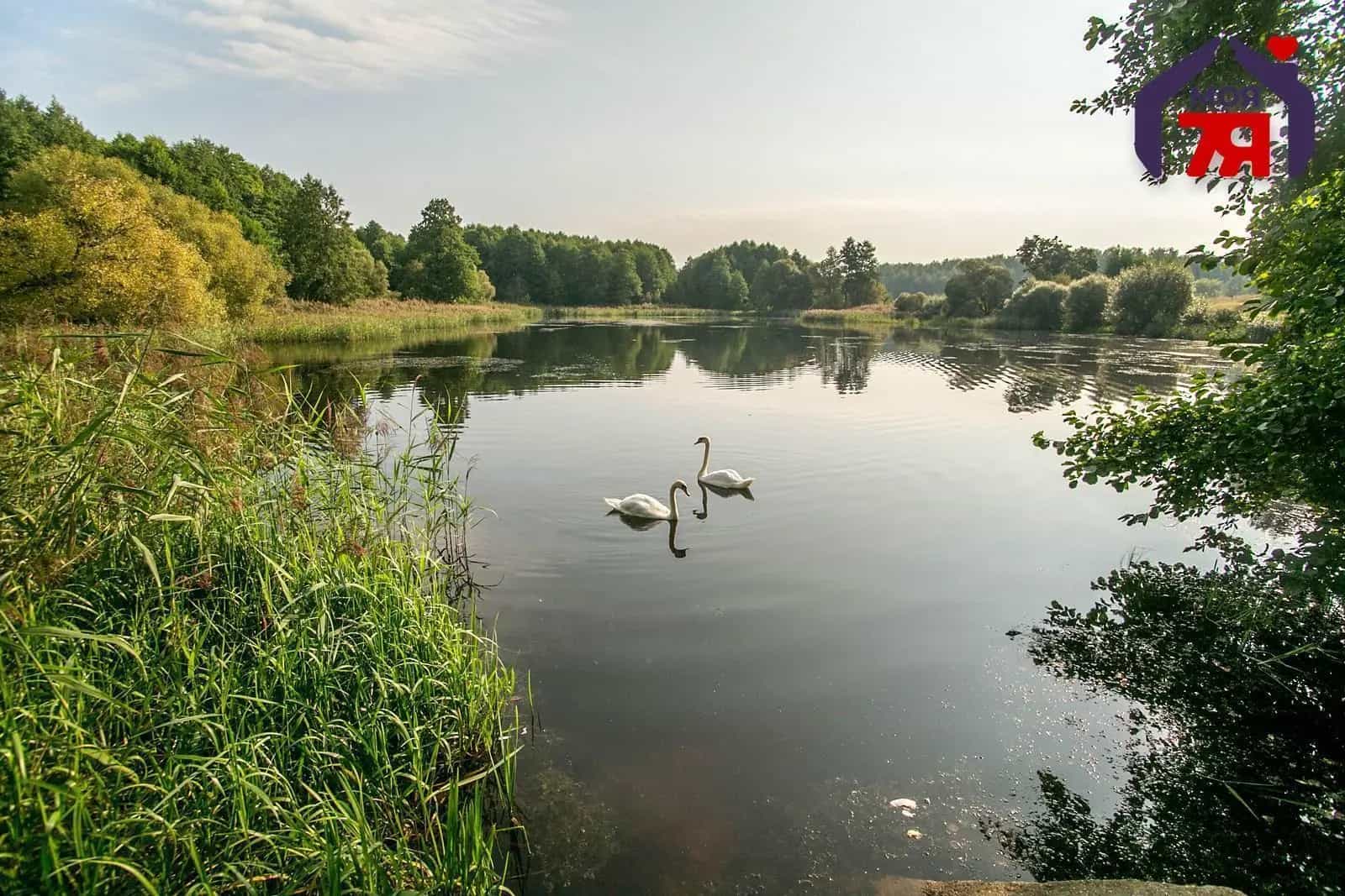 Беларусь, Минская область, Вилейский район, агрогородок Куренец, Советская улица, 35, фото 12