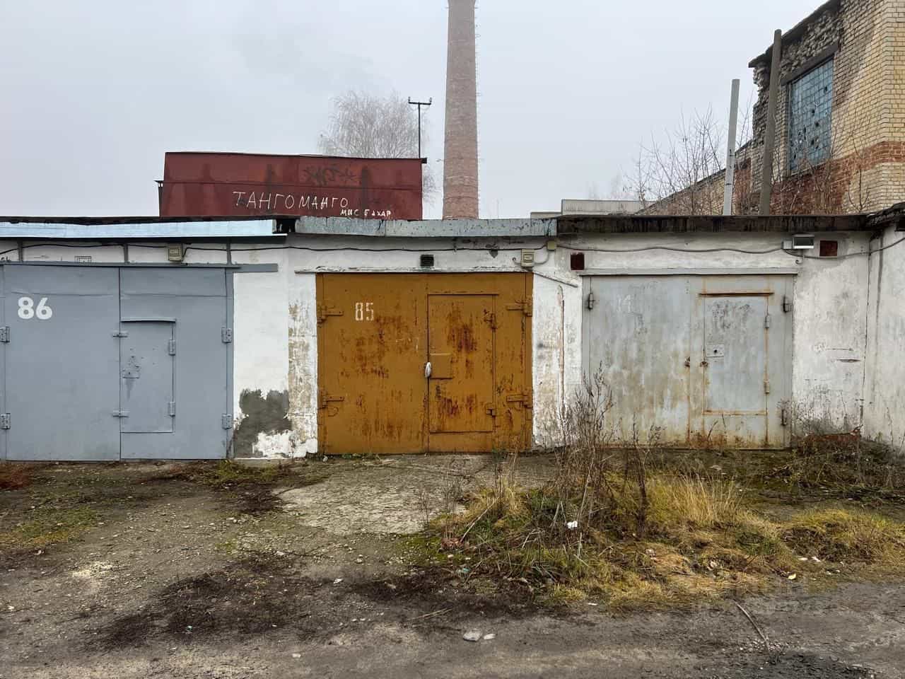 Россия, Тамбовская область, Мичуринск, Парковая улица, 90, фото 15