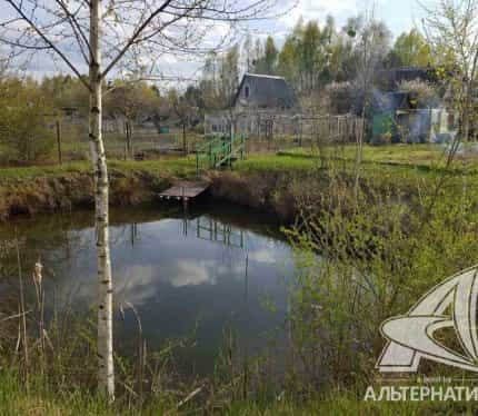 Беларусь, Брест, Низкий переулок, 15