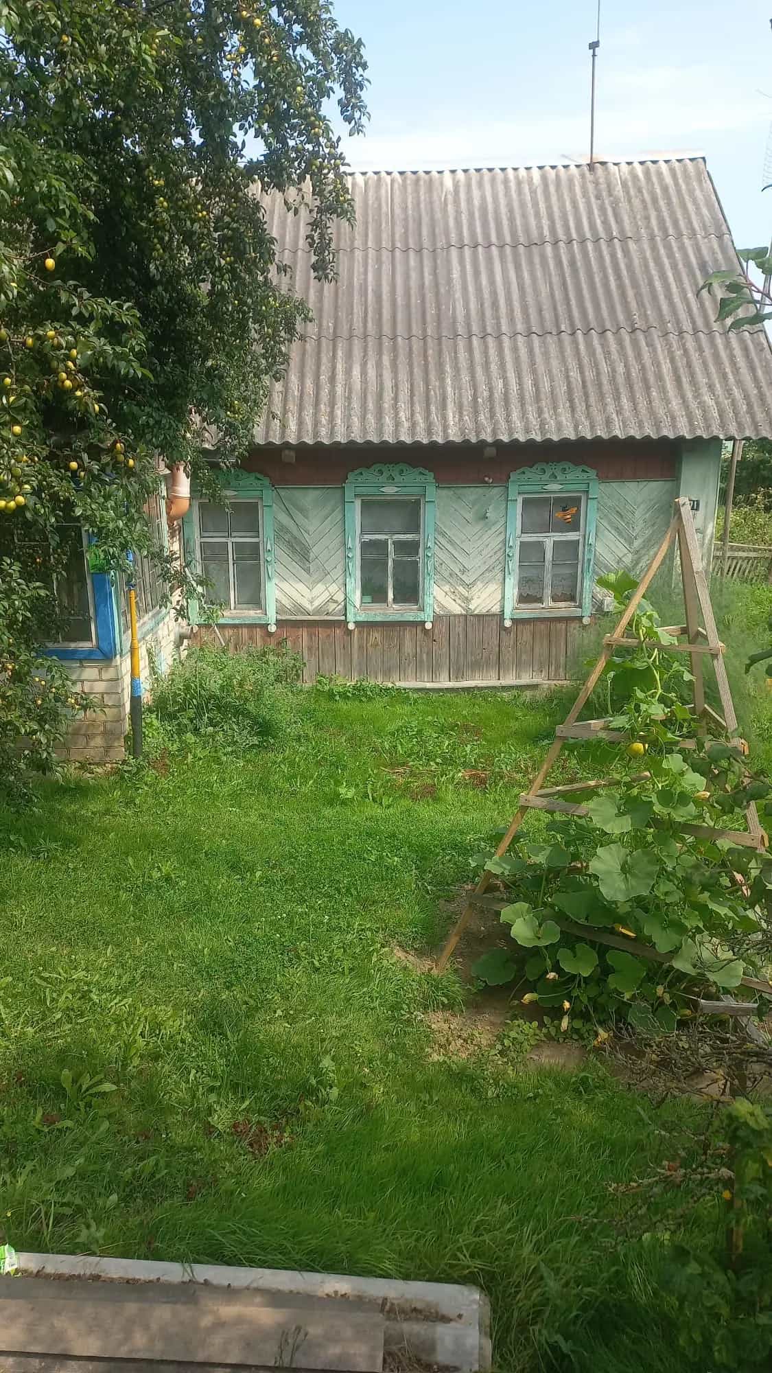 Беларусь, Витебская область, Толочин, улица Дзержинского, 71, фото 3