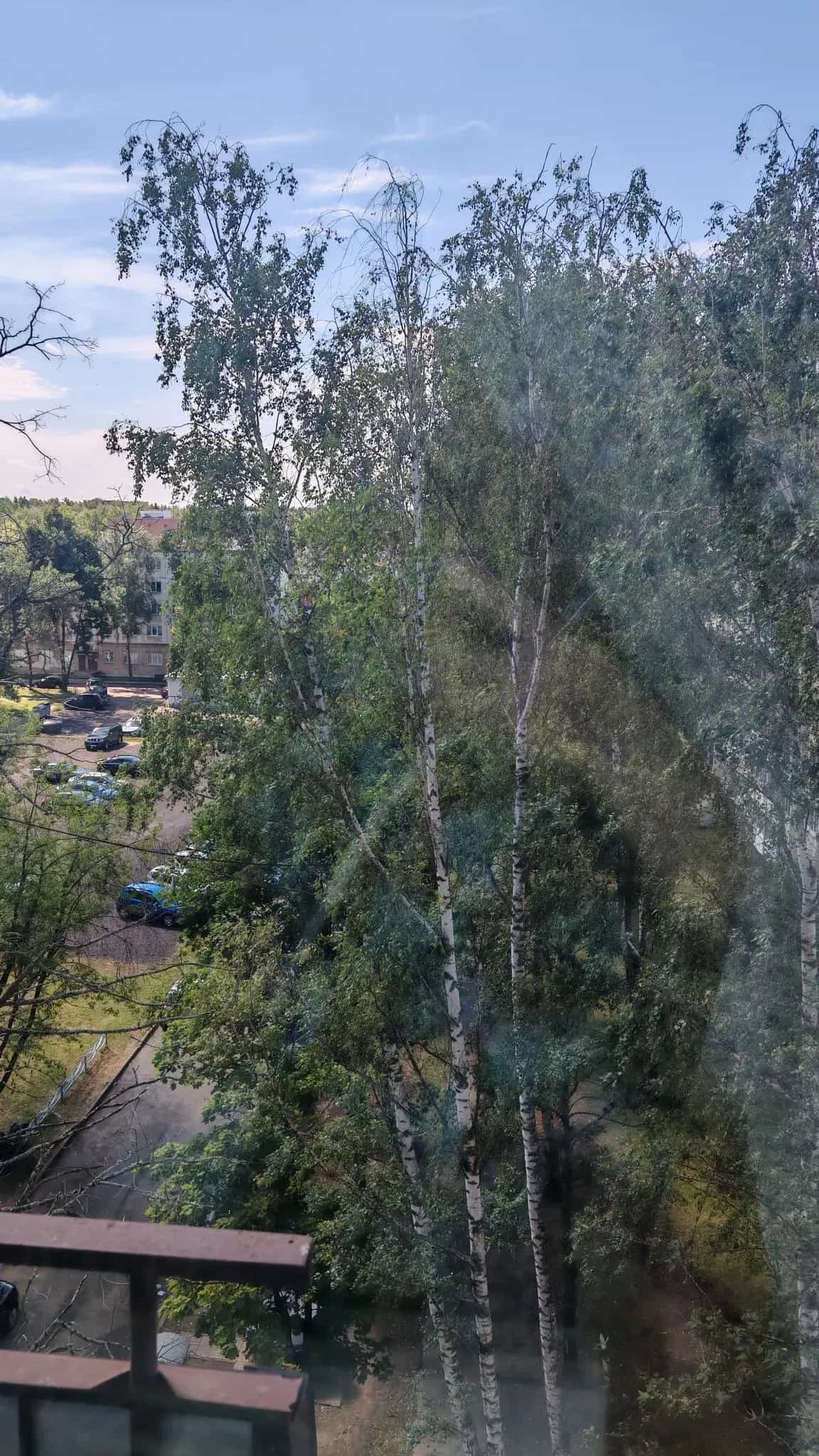Беларусь, Витебская область, Новополоцк, Молодёжная улица, 101, фото 4