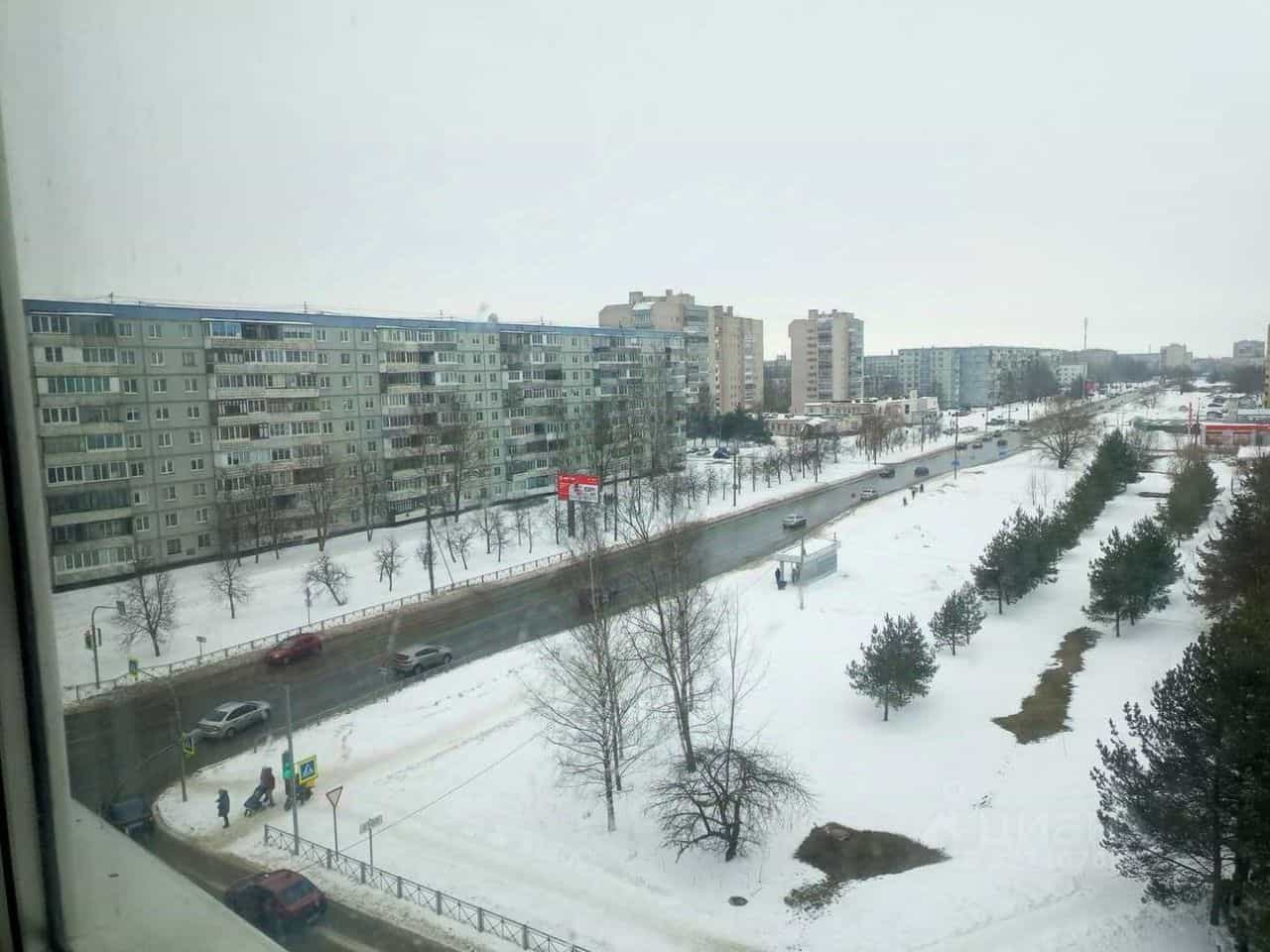 Россия, Великий Новгород, Западный район, улица Кочетова, 16/46, фото 4