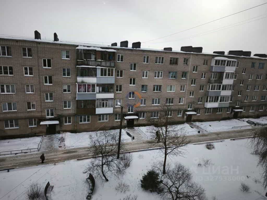 Россия, Новгородский муниципальный округ, Панковское городское поселение, посёлок городского типа Панковка, Пионерская улица, 10, фото 6