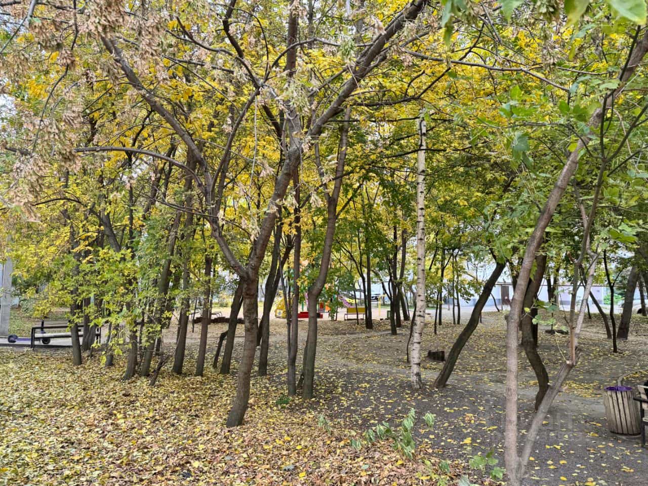 Россия, Республика Марий Эл, Йошкар-Ола, площадь Революции, 5, фото 40