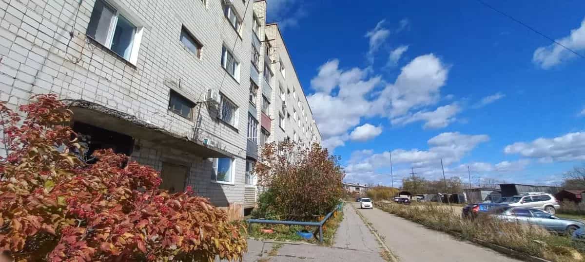 Россия, Еврейская автономная область, Смидовичский муниципальный район, посёлок Приамурский, Молодёжная улица, 3, фото 14