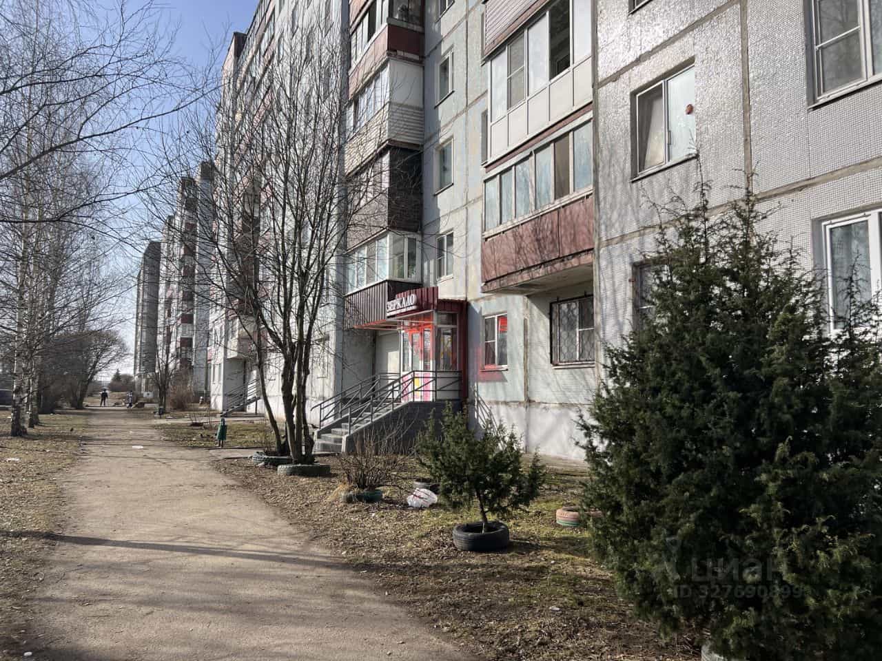 Россия, Псков, улица Генерала Маргелова, 9, фото 30