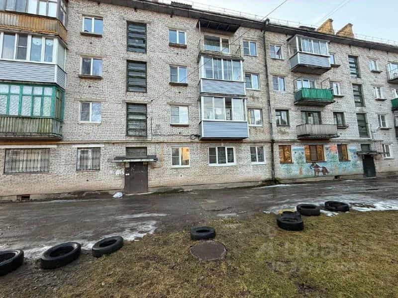Россия, Новгородская область, Чудово, улица Оплеснина, 9, фото 15