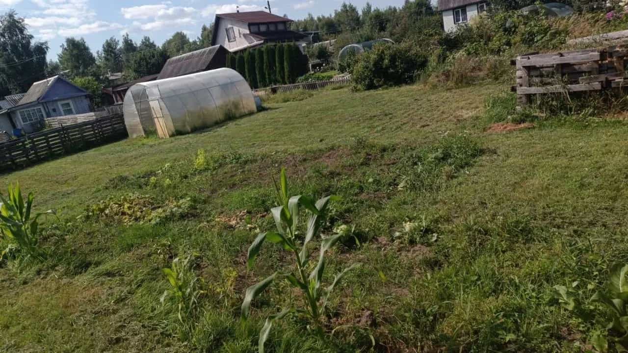 Беларусь, Минская область, Пуховичский район, Пережирский сельсовет, садоводческое товарищество Колос, 76, фото 5