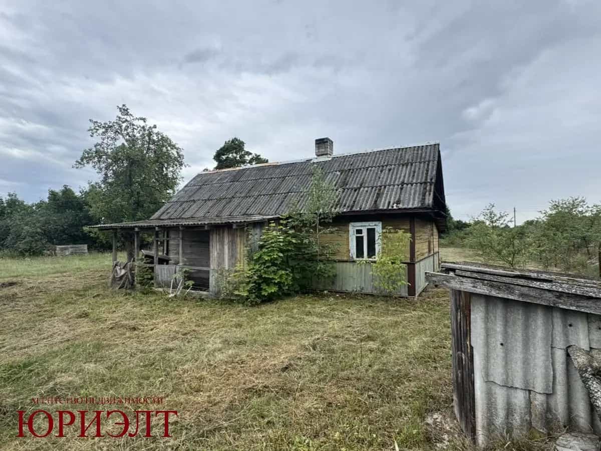 Беларусь, Брестская область, Малоритский район, Хотиславский сельсовет, деревня Мельники, Интернациональная улица, 71, фото 4
