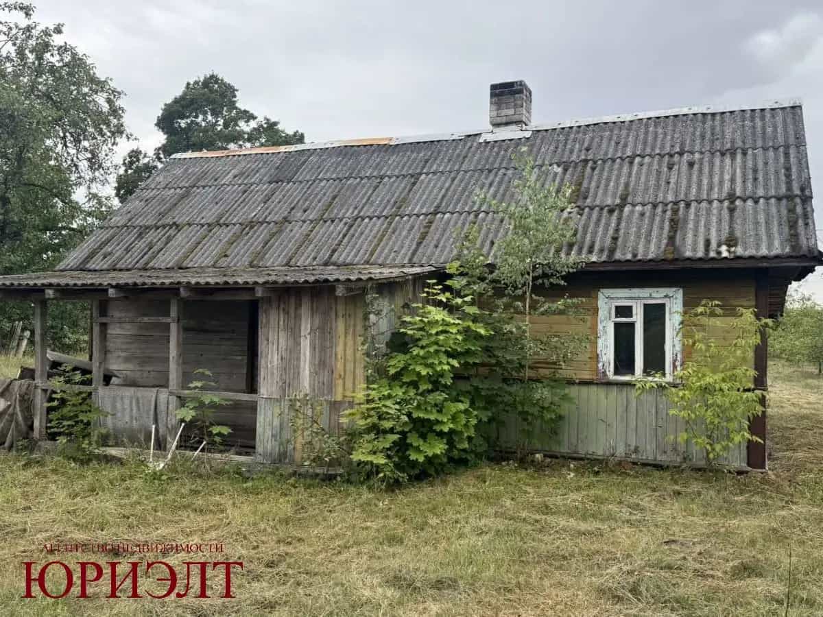 Беларусь, Брестская область, Малоритский район, Хотиславский сельсовет, деревня Мельники, Интернациональная улица, 71, фото 5