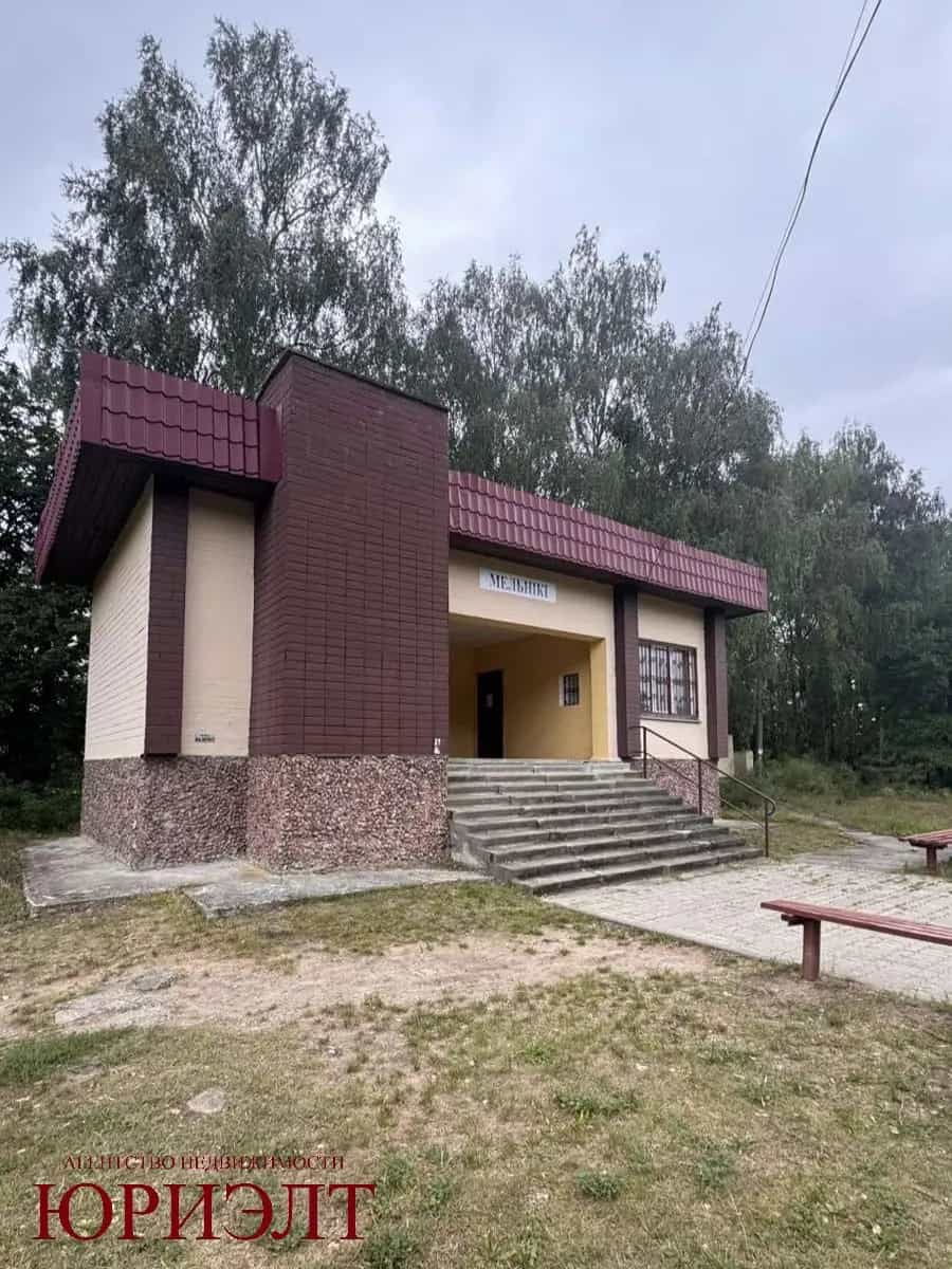 Беларусь, Брестская область, Малоритский район, Хотиславский сельсовет, деревня Мельники, Интернациональная улица, 71, фото 11
