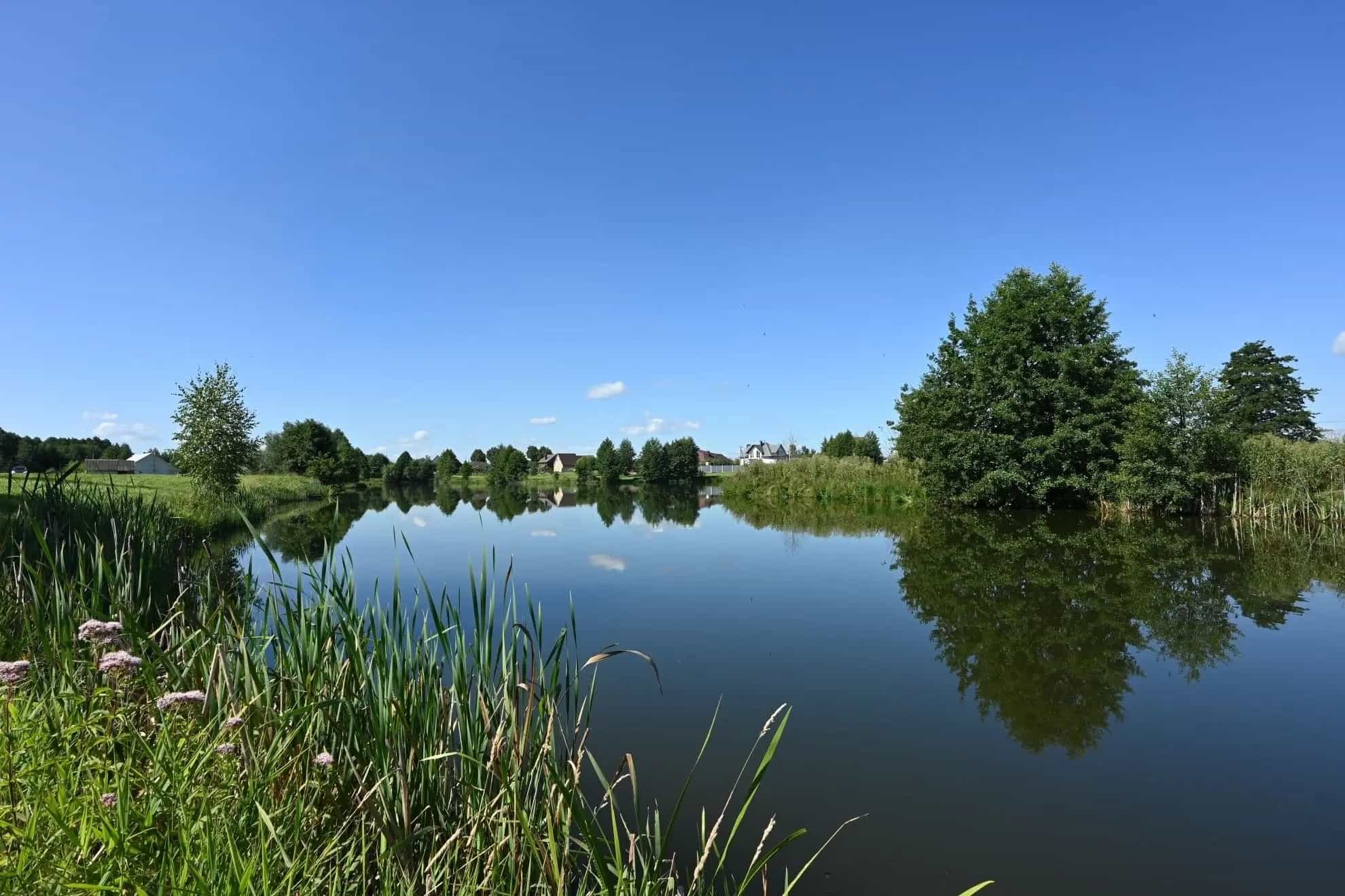 Беларусь, Гродненская область, Сморгонь, Молодёжная улица, 29, фото 40