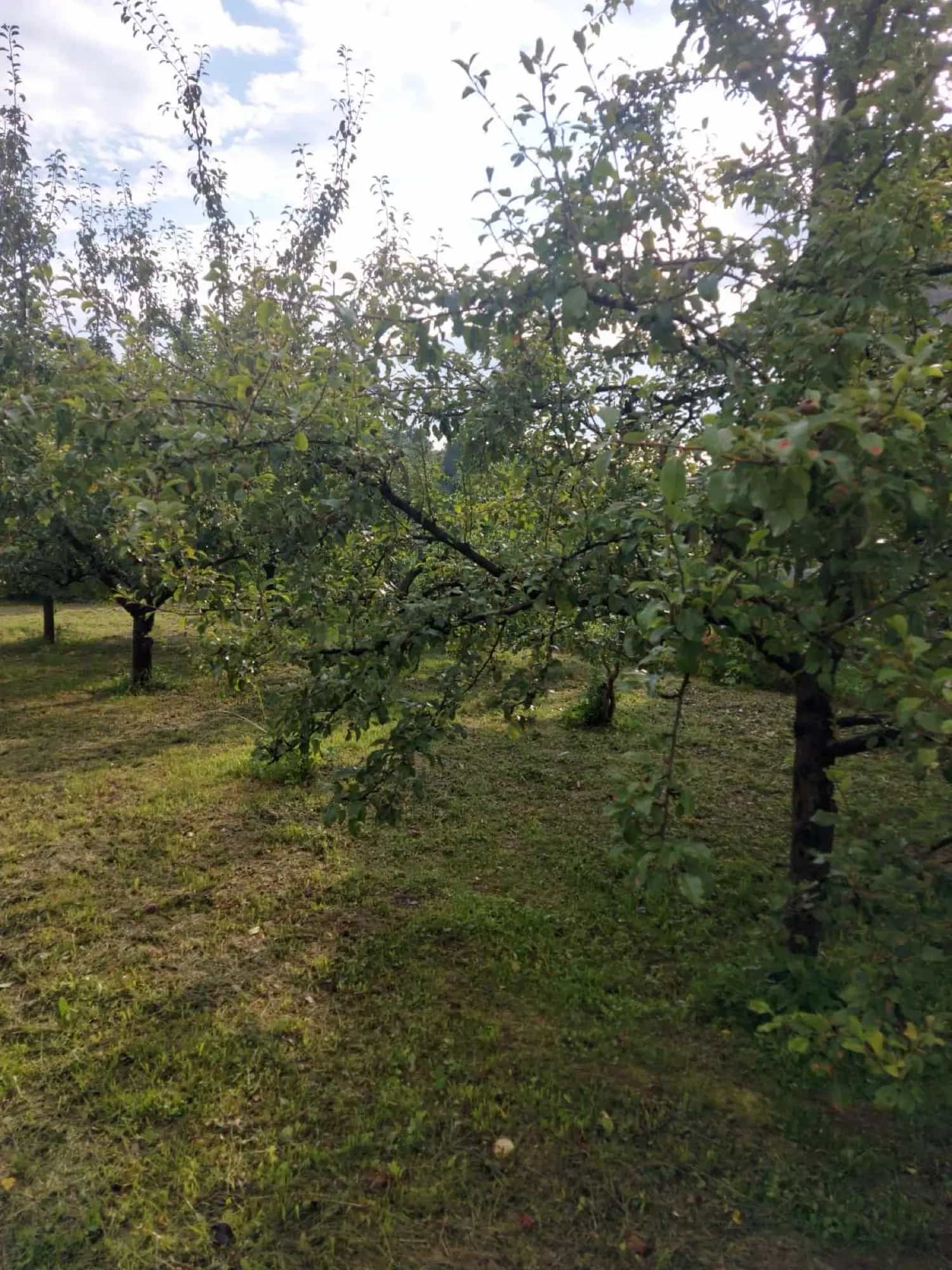 Беларусь, Могилёвский район, Полыковичский сельсовет, деревня Николаевка 2, Почтовая улица, 26, фото 20