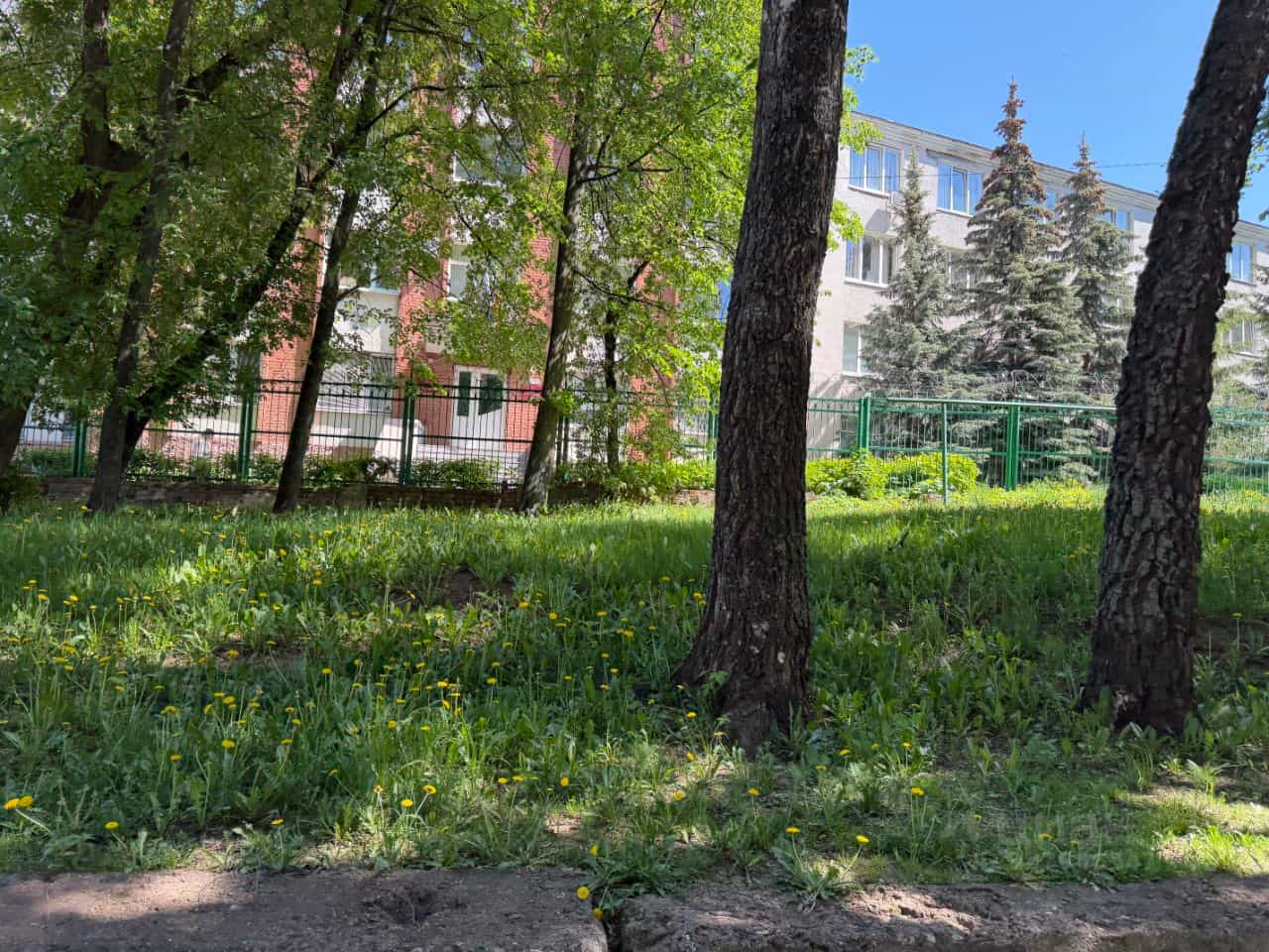 Россия, Чувашская Республика — Чувашия, Чебоксары, улица Шевченко, 25, фото 14