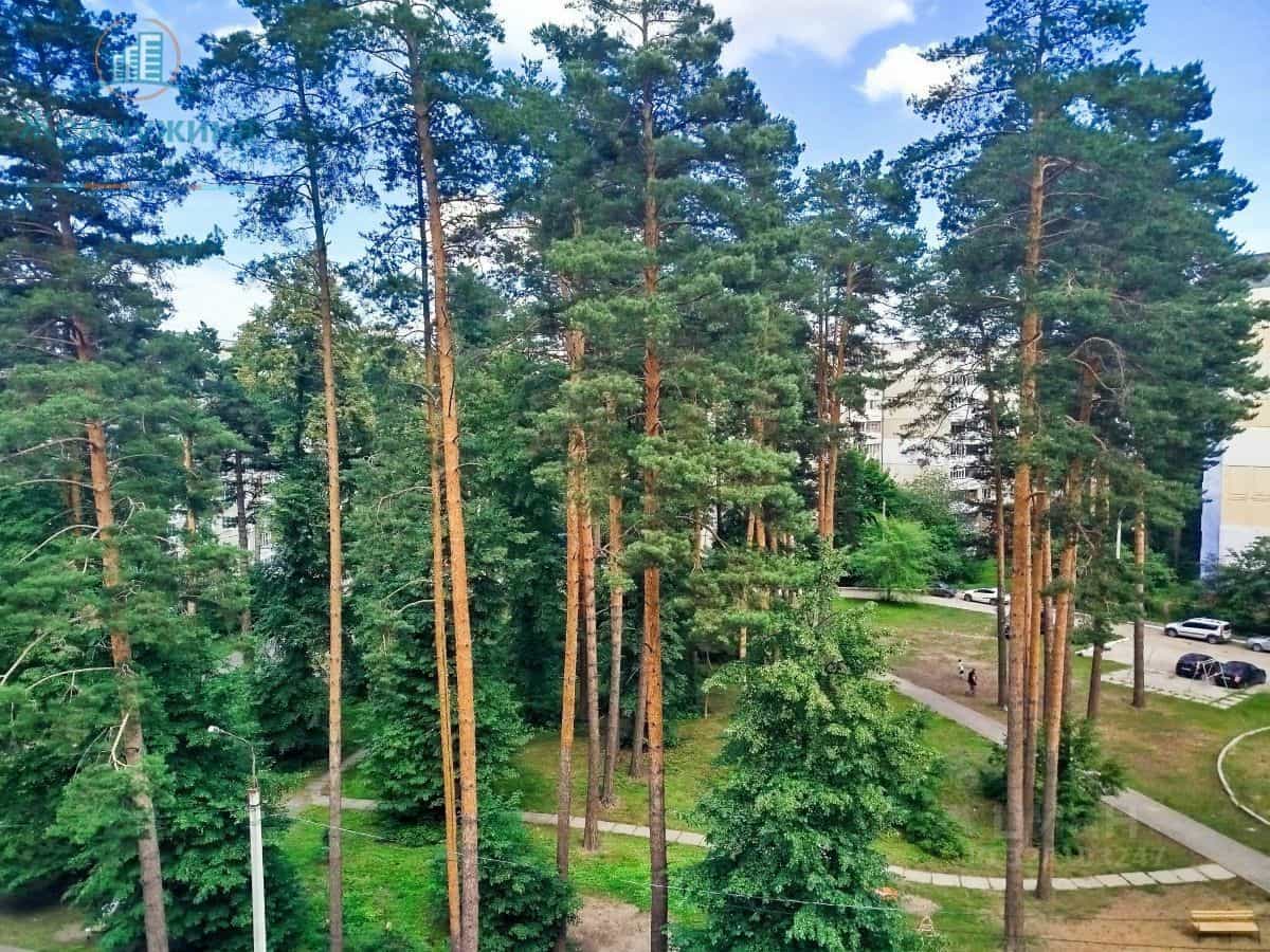 Россия, Ульяновская область, Димитровград, Братская улица, 39, фото 21