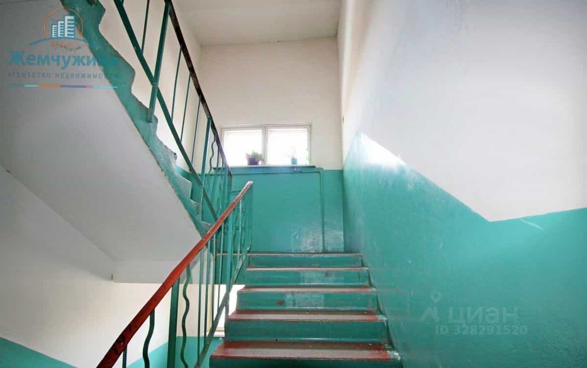 Россия, Ульяновская область, Димитровград, Дрогобычская улица, 33, фото 14