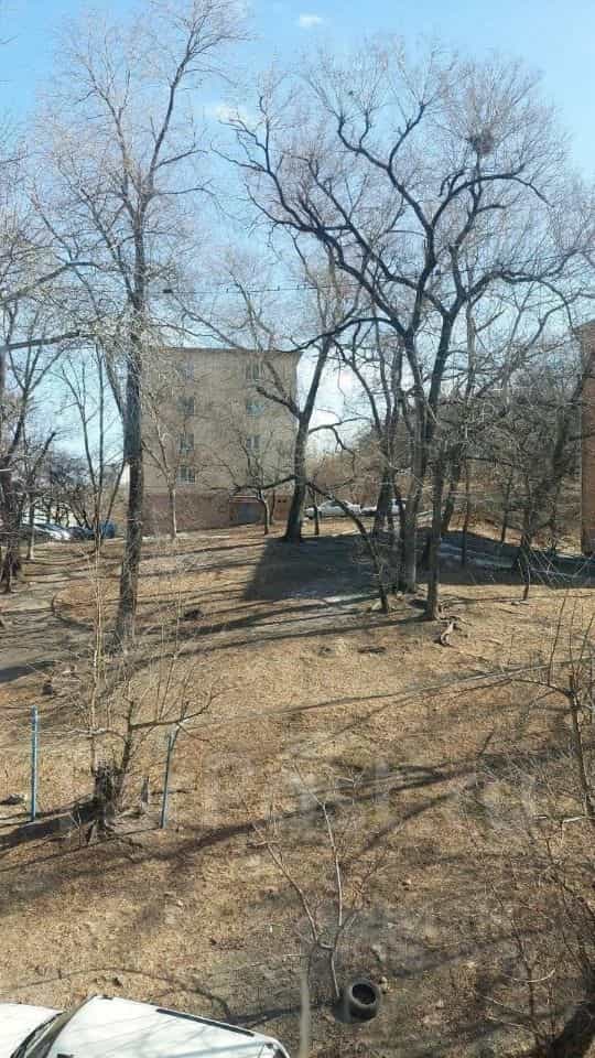 Россия, Приморский край, Владивосток, улица Калинина, 47, фото 11